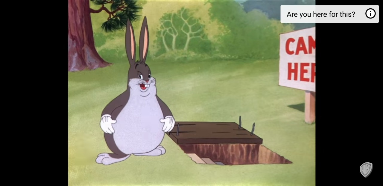 paper-mario-wiki:  warner brothers is aware of the big chungus meme and posted the