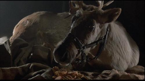 Prancer (1989)