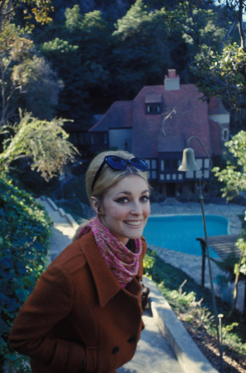 Sharon Marie Tate Polanski (January 24, 1943 – August 9, 1969) photographed by Shahrokh Hatami.