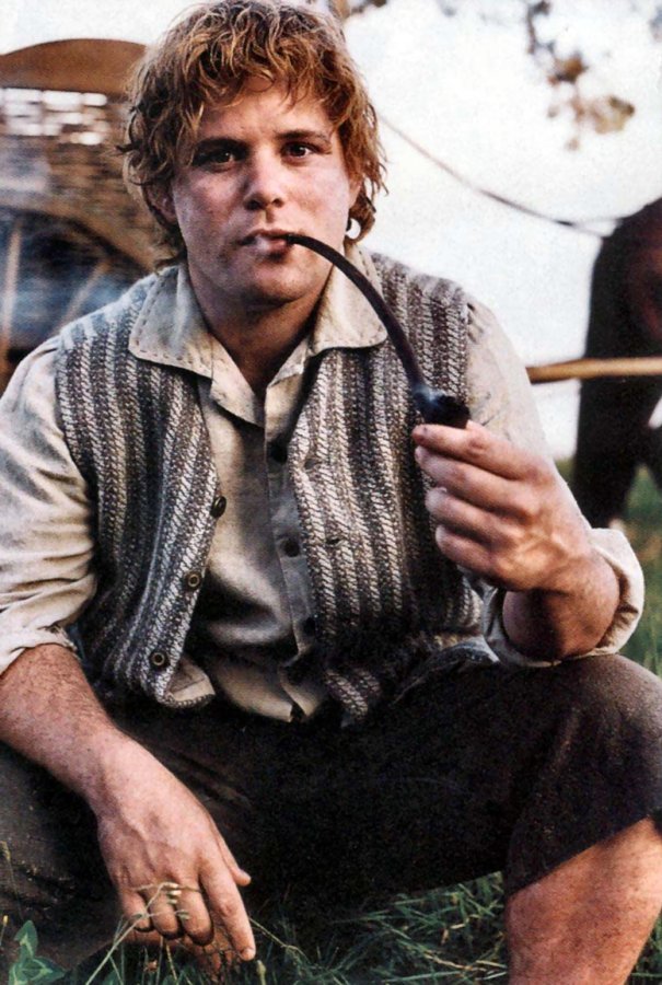 frxdo:  Source You’ve left out one of the chief characters, Samwise the Brave.