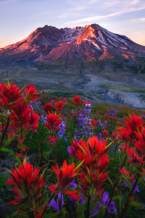 phantastrophe - Mount St. Helens, Washington...