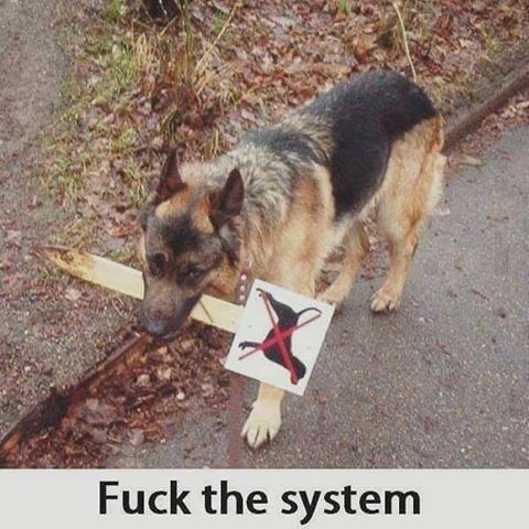 #FuckTheSystem (at Sacramento, California)