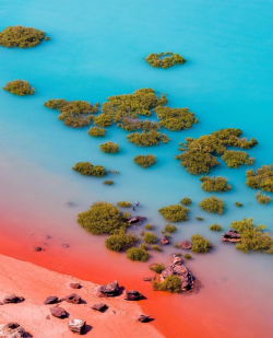 sixpenceee: Shoreline in Broome, Western Australia. Via StugotzLobos. More interesting posts here: @sixpenceee