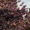 p0werful-l0ve.tumblr.com/post/117155924657/