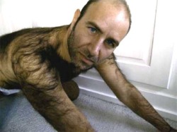 hairystylz:  hairypo:  The ultimate hairy daddy  W♂♂F“The Hairier The Merrier” https://www.tumblr.com/blog/hairystylz 