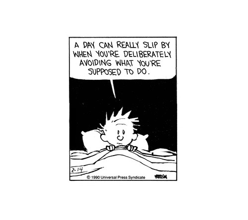 nevver:  Calvin and Hobbes 