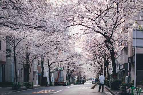 takashiyasui:Nihonbashi, Tokyo