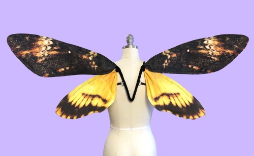 destinationtoast:sosuperawesome:Moth and Butterfly Costume WingsMoon Moth Wings on Etsy @significanc