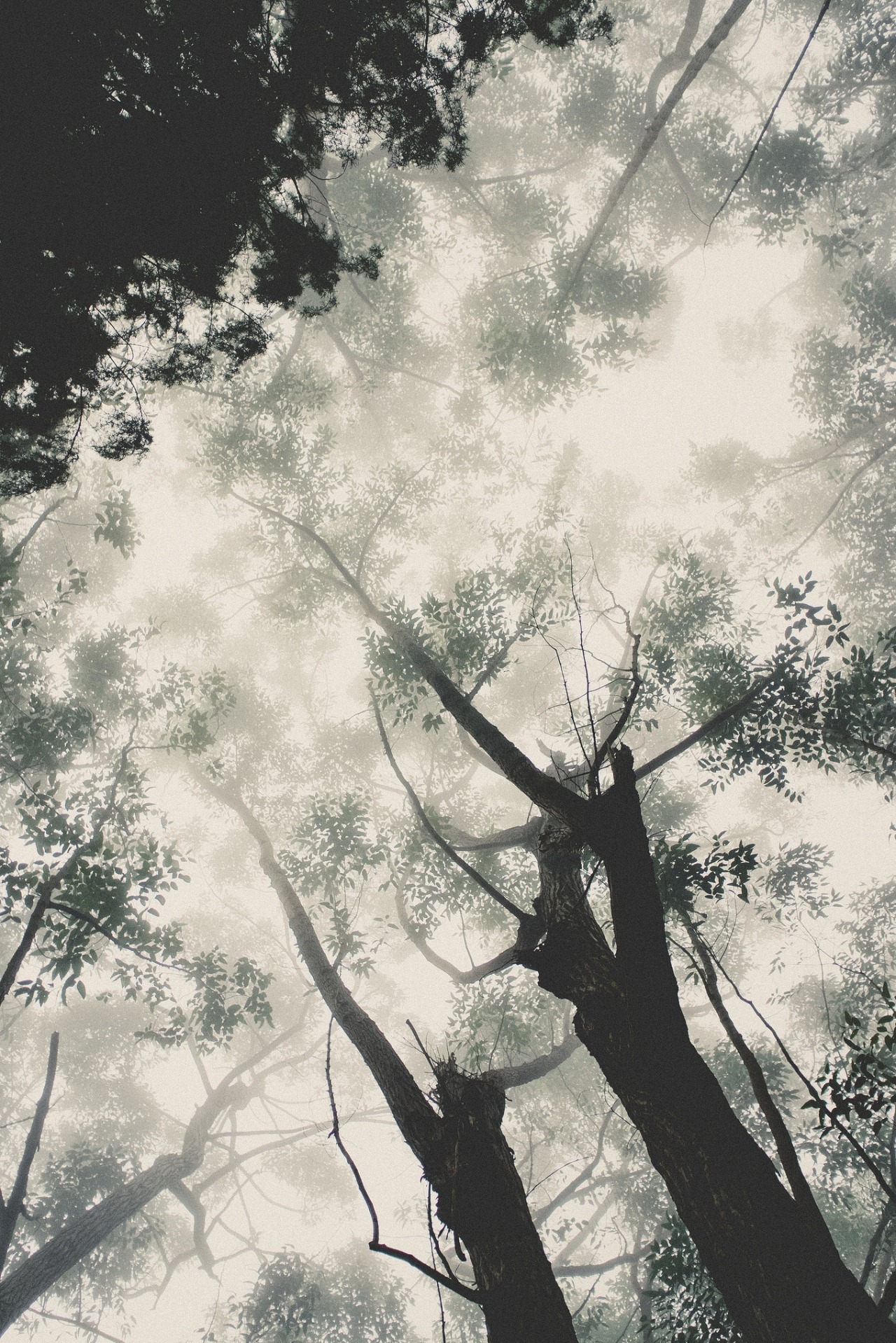 r2&ndash;d2:  Untitled by (Ry_Matthew) 