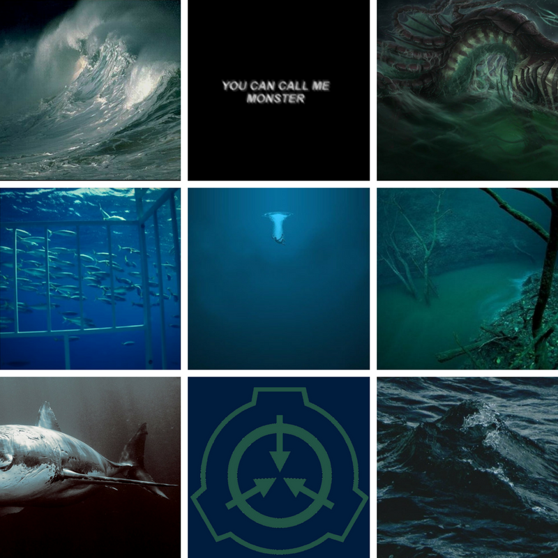 Scp Aesthetics Scp Aesthetics 1128 Requested By