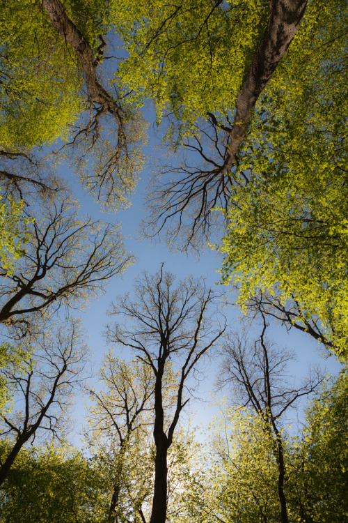 neunzehn73:  neunzehn73 | Forest, Germany (2015)>> Colorful October 2015, Part 21 of 31 <<Dedicated to @jalouise.