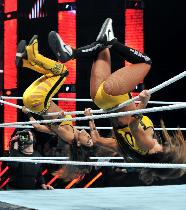 rawsmackdownnxtdivas:Bella Twins:Raw 2/23/15