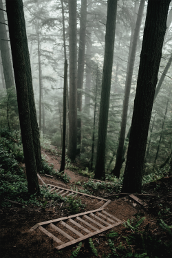 earth-dream:  Adventures