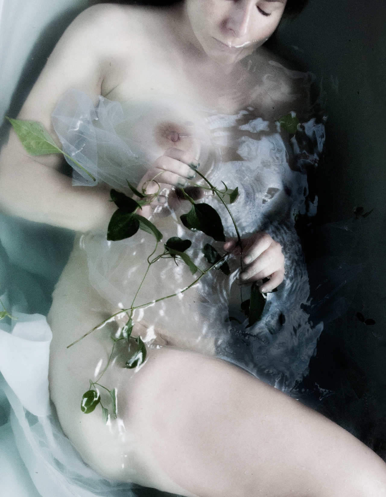 seaofcurves:  Cellophane