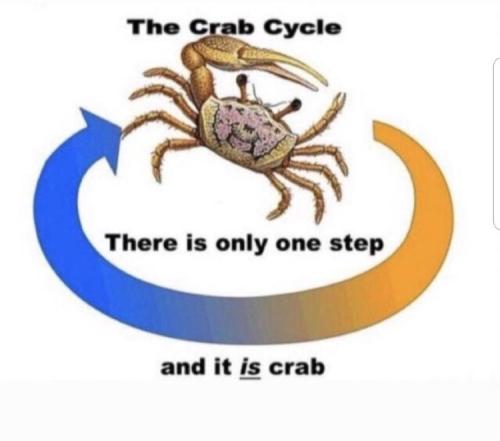 Rule