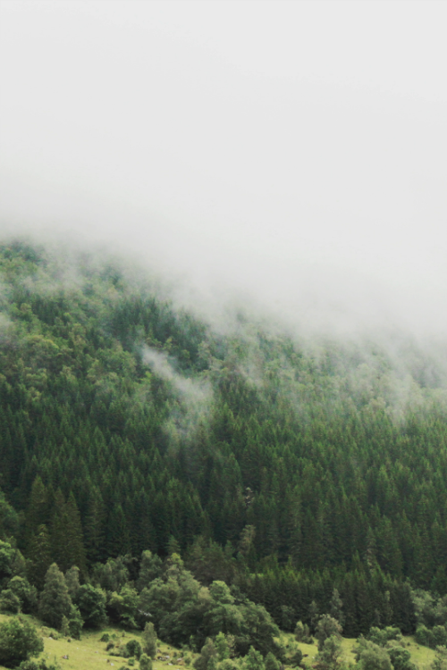 expressions-of-nature: Norway by Claudia Ferraz