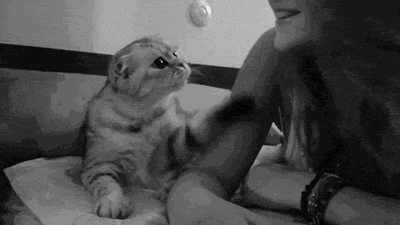 GIF BLOG - Funny Blog,Tumblr GIFs updated daily!