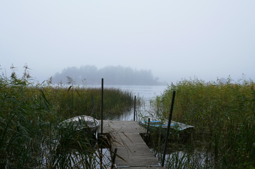 swedishlandscapes:What would autumn be without these grey days?