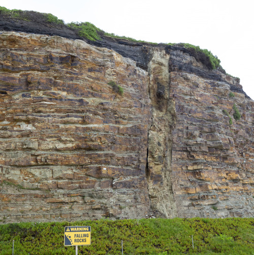 2020: Nobbys Head is an outcrop of Permian coal measures at the entrance of the Hunter River. Origin