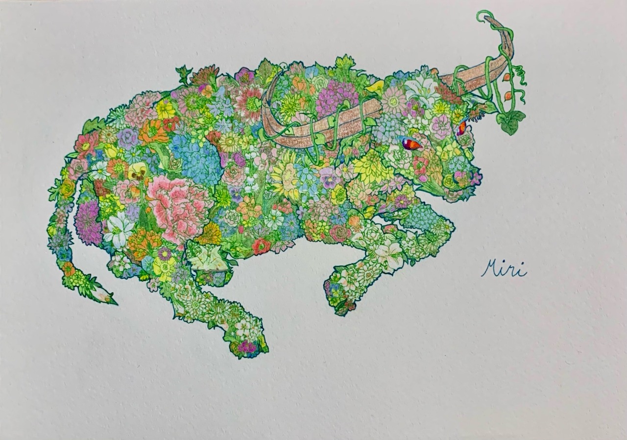 実理 Miri イラスト 実理 Miri イラスト