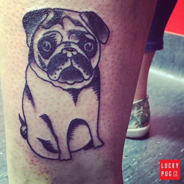 luckypugtattoos:  Leg pug tattoo on @__angela__frazzica__  www.luckypug.com    #luckypug