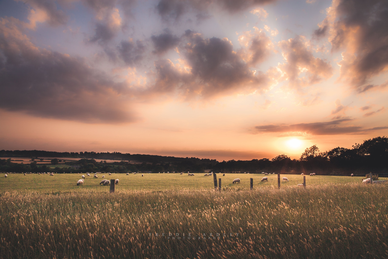 freddie-photography:  A series on One English Sunset One thing in life that I love,