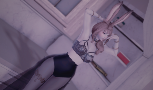 laelaxiv