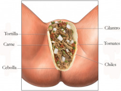 expertcosmotips:  know your body