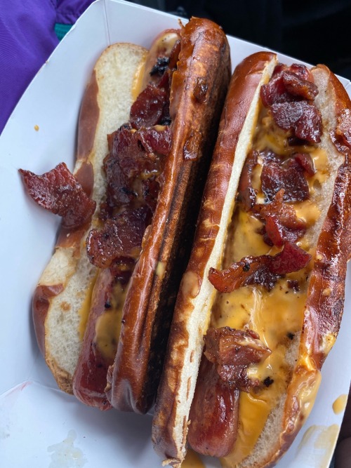 foodmyheart:Beer cheese bacon hot dogs on stout rolls. Crushed them rather quickly. Source: 