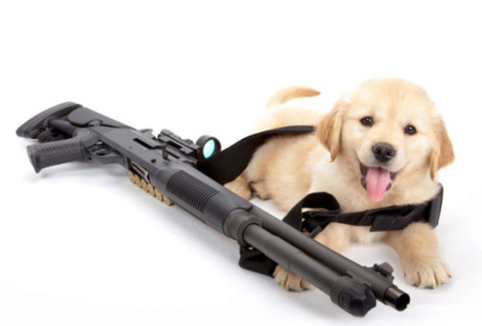 This is the Shotgun Dog of Strength reblog in the next 4,000,000 years and receive limitless power and confidence