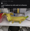 cauldroncreations: