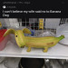 cauldroncreations: