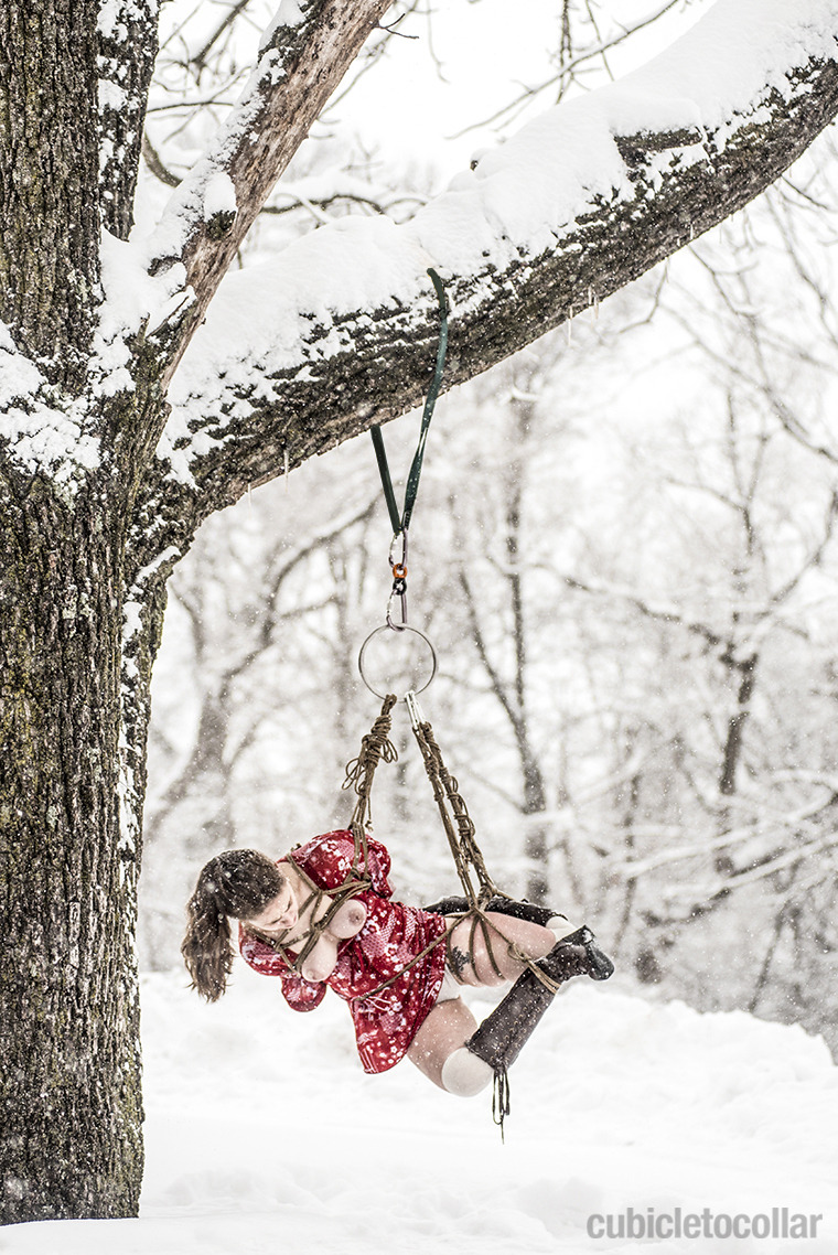 alltieduptonight:  cubicletocollar:  We finally got a proper snow day here, after