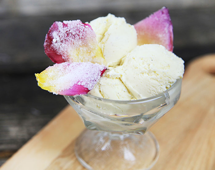 thecakebar:  Candied Rose Petals and Ice Cream Tutorial This was just given to me