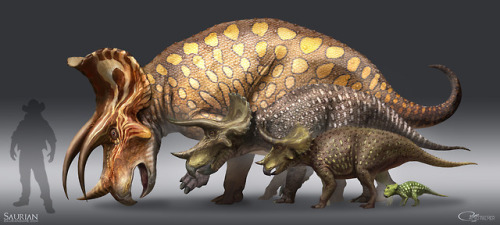 grimchild: Updated Triceratops concept art done for the survival game, Saurian. 