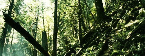 somebodysparty:  Into The Wild + Landscape