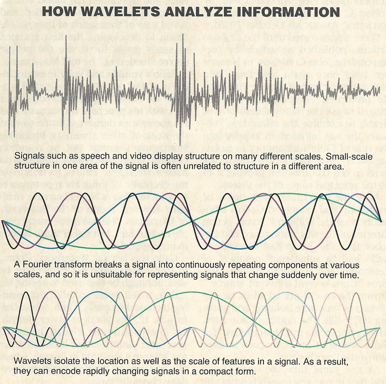 Scienceisstrange Wavelets Scienceisstrange Wavelets