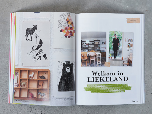 This month in FLOW Magazine the house of illustrator Lieke van der Vorst and designer Dave Hakkens! 