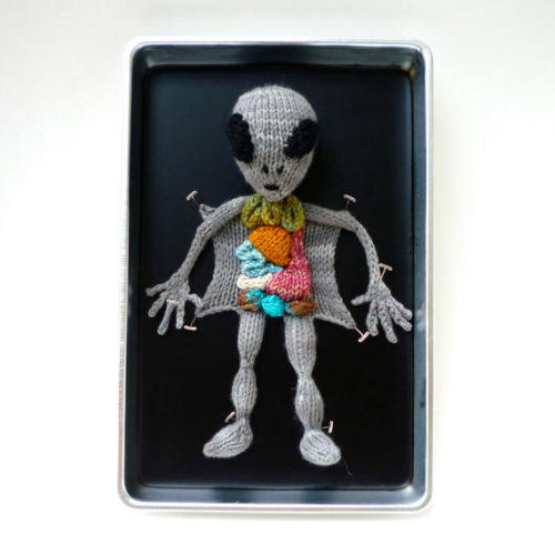 mentalflossr:  Artist Makes Anatomy Adorable Through the Power of Knitting