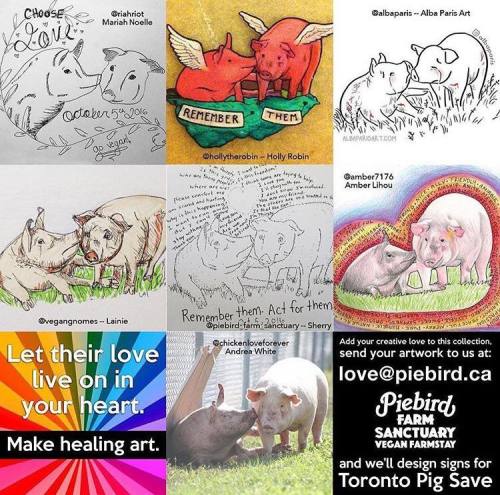 Beautiful artwork created in honour of Bonnie and Clyde, two pigs who were injured in the &ldqu