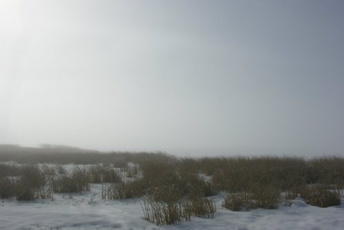 utah lake