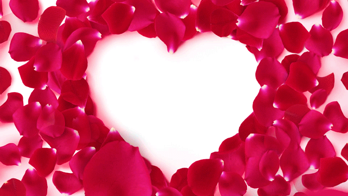 heart coeur herz corazón love art etc.