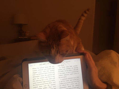 firstbeanstalk: I guess I can read later.