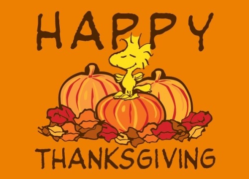 Happy Thanksgiving!