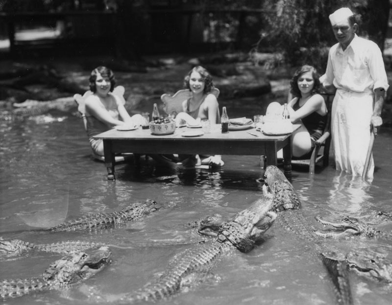 Female tourists posing with alligators at the Los Angeles Alligator Farm in the 1920s.