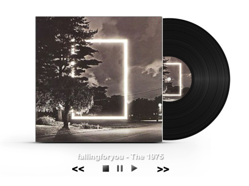 typical-healy:  The 1975 // Discography