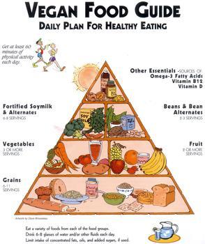 Vegan food pyramid