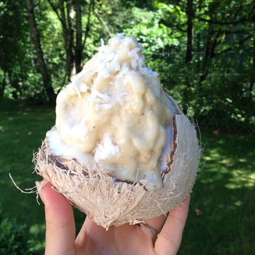 fitwithoutfat:  Coconut #nicecream in a coconut porn pictures