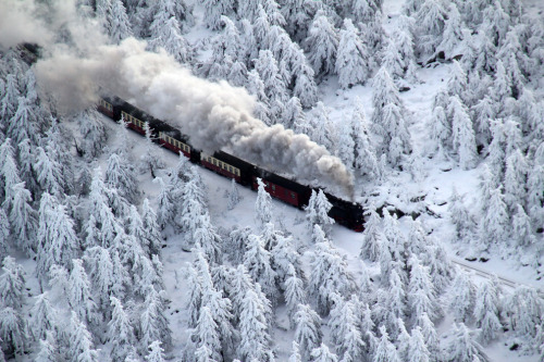 Sex Winter wonderland (a train steams through pictures