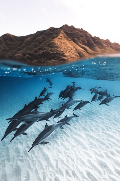 World's Best Photographs